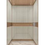 Premium home & villa elevators