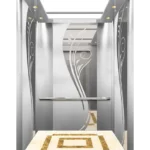 HAYASHIMU Passenger Elevator For Bangladesh