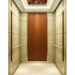 Modern Textured Passenger Elevator