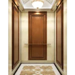 Sandblasted Stainless Steel Plated Passenger Elevator