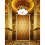 Titanium Golden Passenger Elevator