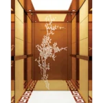 Wood Grain Stainless Steel Framed Passenger Elevator
